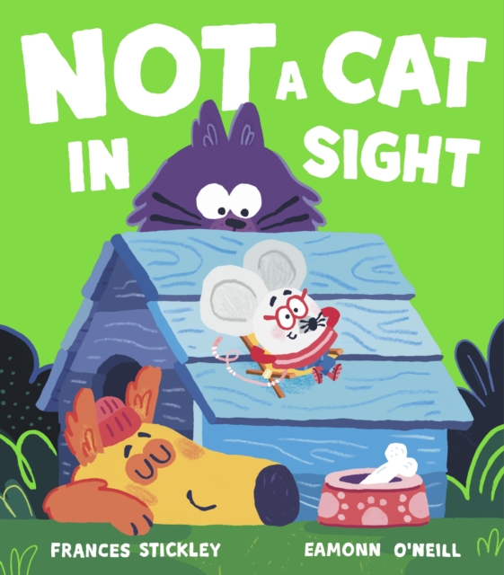 Book cover of Not a Cat In Sight