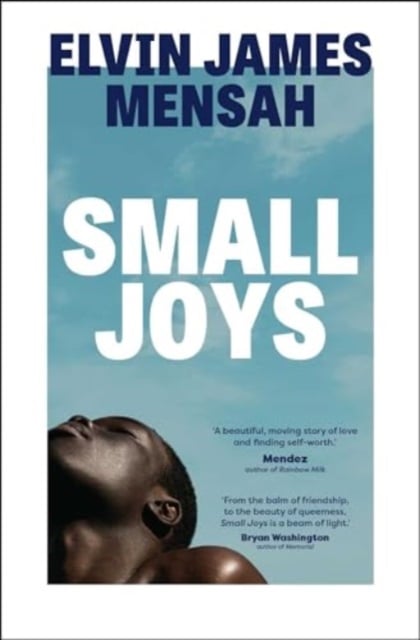 Book cover of Small Joys