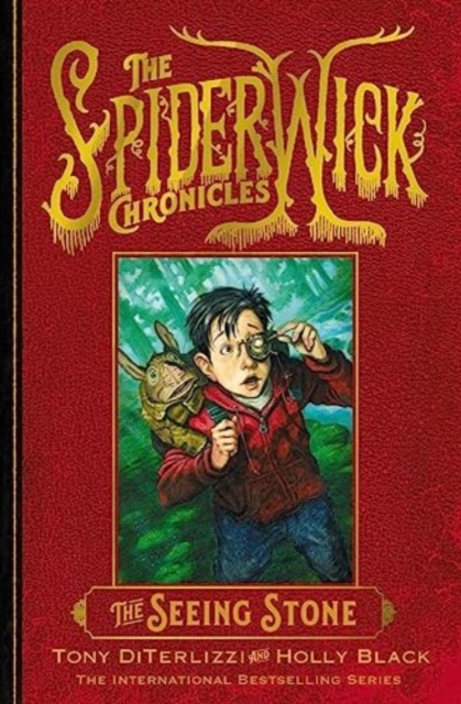 Book cover of The Seeing Stone