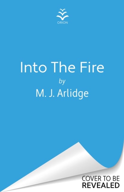 Book cover of Into the Fire