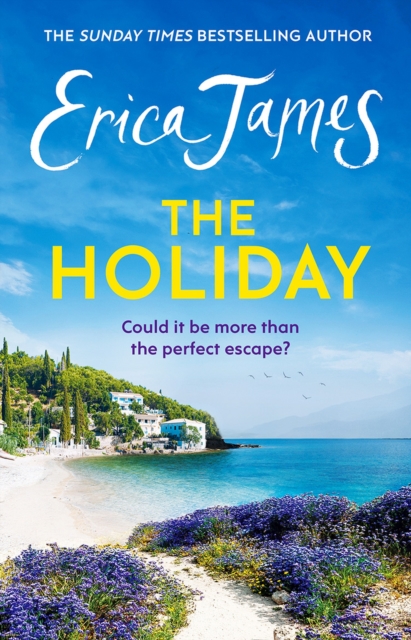 Book cover of The Holiday