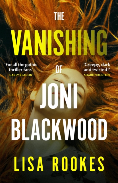 Book cover of The Village
