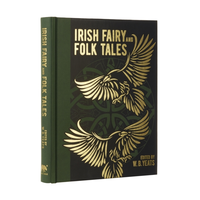 Book cover of Irish Fairy and Folk Tales