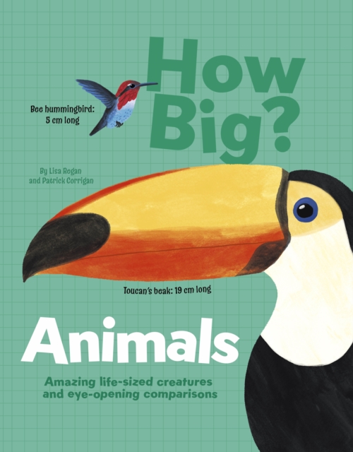 Book cover of How Big? Animals