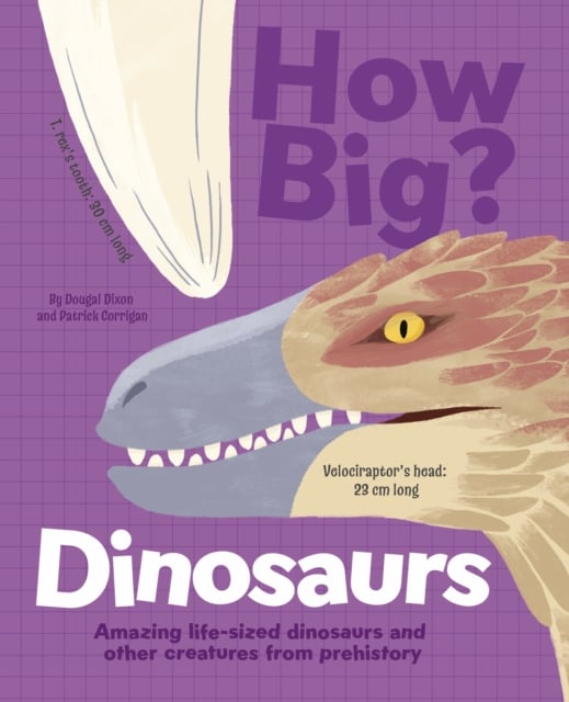 Book cover of How Big? Dinosaurs