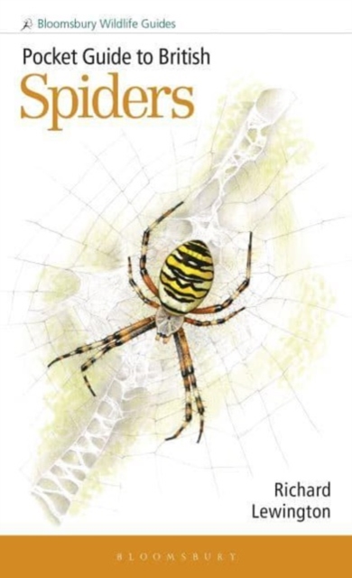Book cover of Pocket Guide to British Spiders