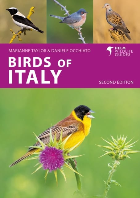 Book cover of Birds of Italy