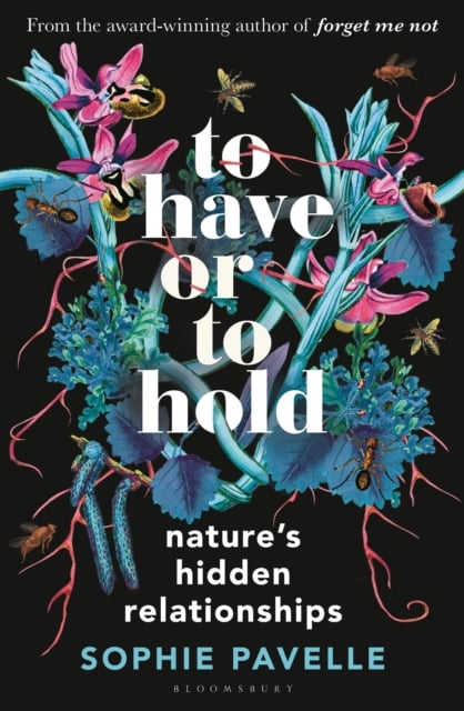 Book cover of To Have or To Hold