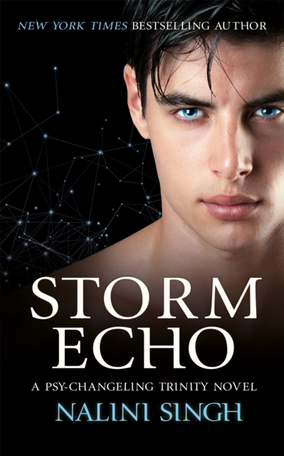 Book cover of Storm Echo