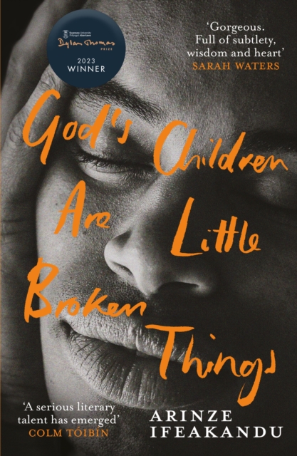Book cover of God's Children Are Little Broken Things