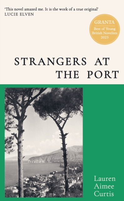 Strangers: A Novel