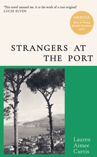 Book cover of Strangers at the Port