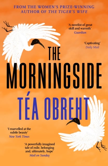 Book cover of The Morningside