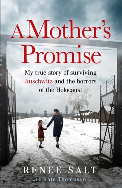 Book cover of A Mother's Promise