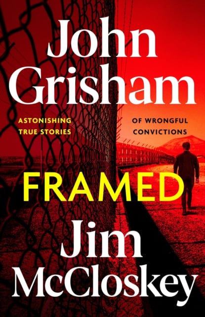 Book cover of FRAMED