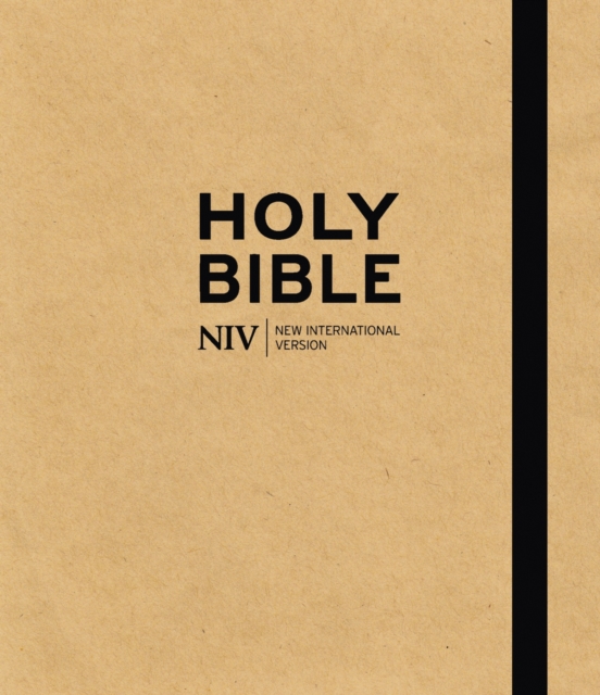 Book cover of NIV Art Bible