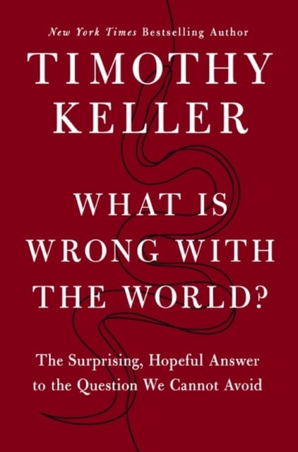 Book cover of What is Wrong with the World?