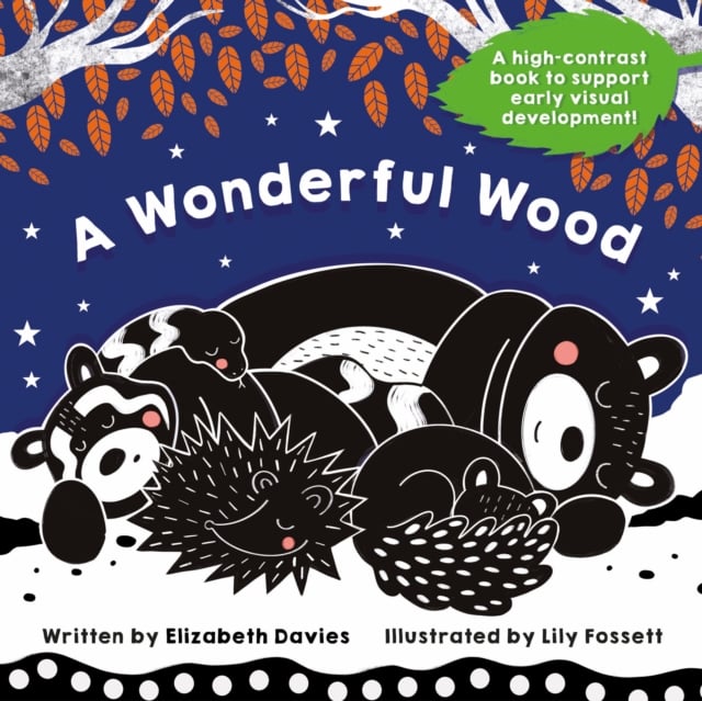 Book cover of A Wonderful Wood: A Black-and-White High-Contrast Storybook for Newborns and Children aged 0-5