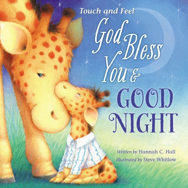 Book cover of God Bless You and Good Night Touch and Feel