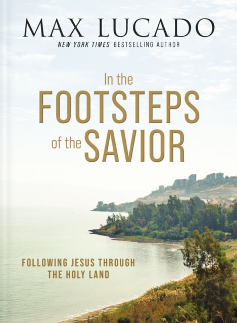 Book cover of In the Footsteps of the Savior