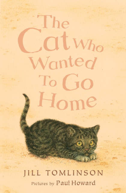 Book cover of The Cat Who Wanted to Go Home