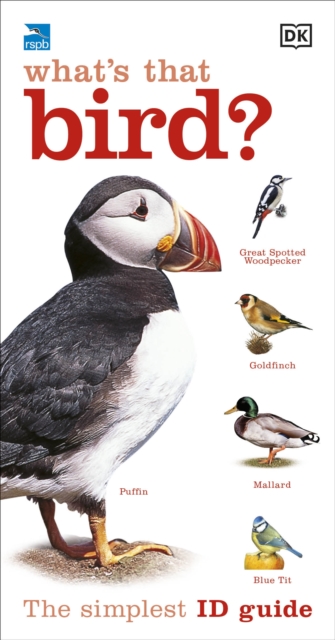 Puffin, Bird Identification Guide