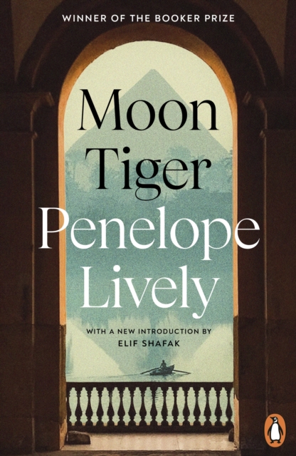 Book cover of Moon Tiger