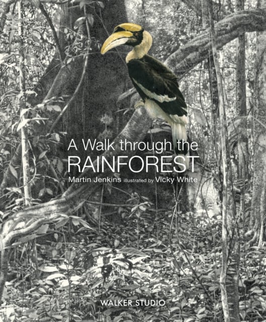 Book cover of A Walk Through the Rainforest