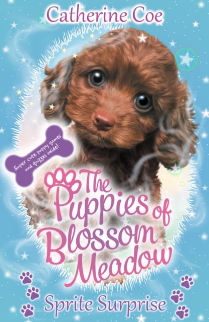 Book cover of Sprite Surprise