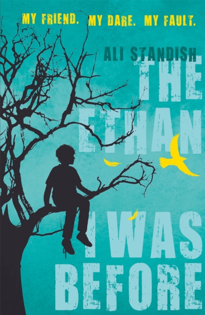 Book cover of The Ethan I Was Before