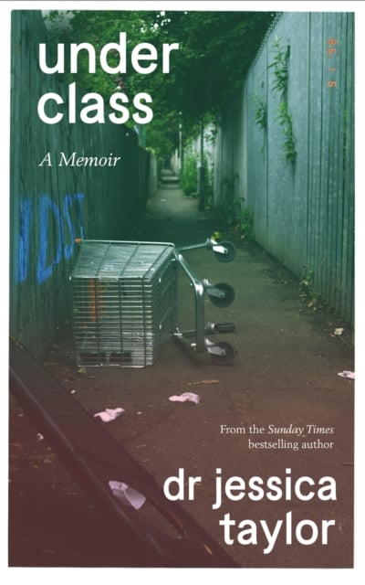 Book cover of Underclass