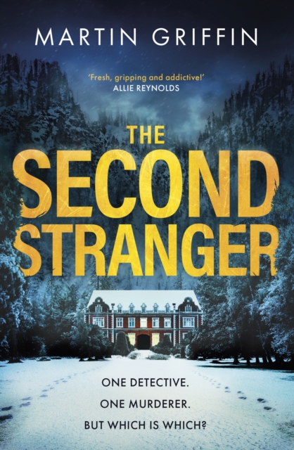 Book cover of The Second Stranger