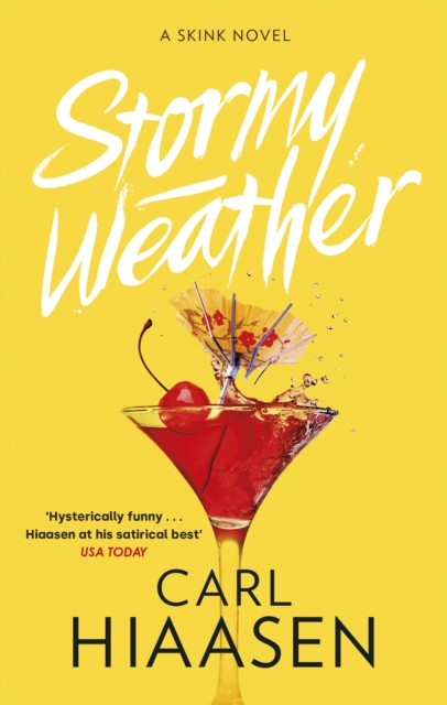 Book cover of Stormy Weather