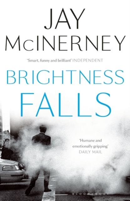 Book cover of Brightness Falls