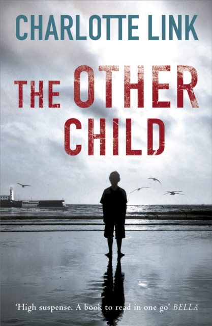 Book cover of The Other Child