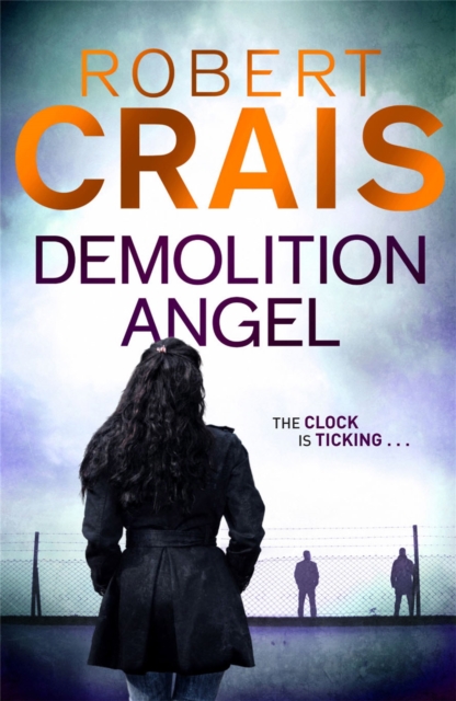 Book cover of Demolition Angel