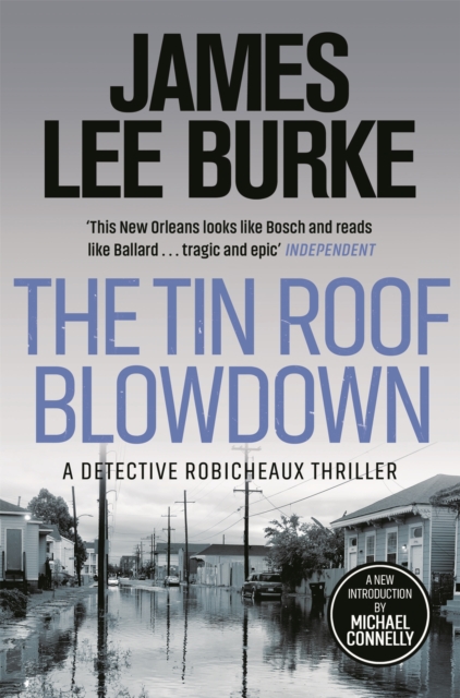 Book cover of The Tin Roof Blowdown