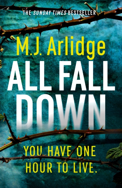 Book cover of All Fall Down