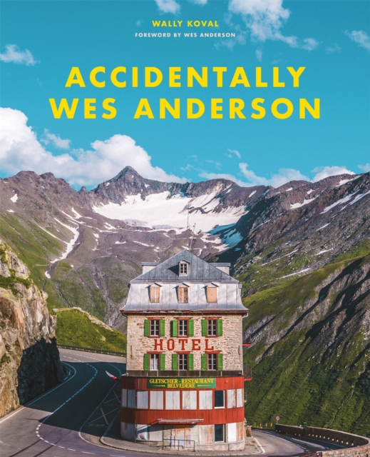 Book cover of Accidentally Wes Anderson