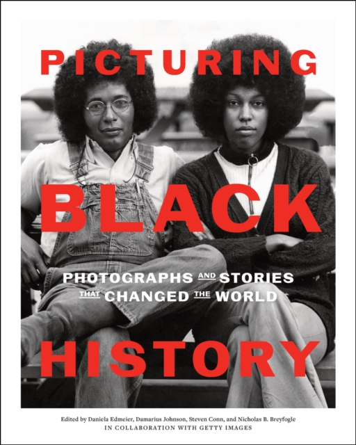 Book cover of Picturing Black History