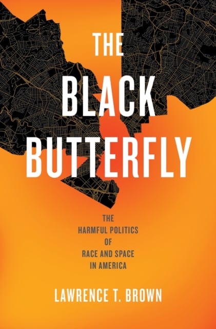 Book cover of The Black Butterfly