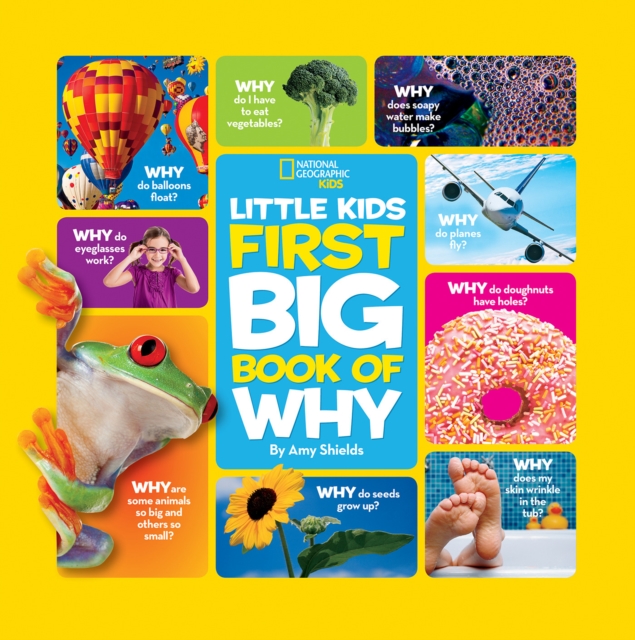 Book cover of Little Kids First Big Book of Why
