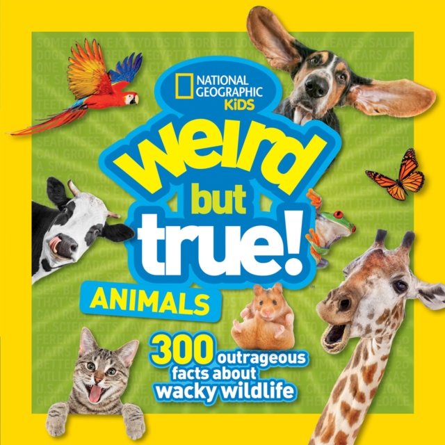 Book cover of Weird But True Animals