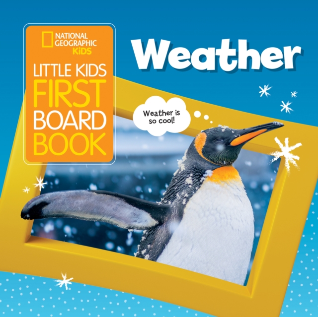 Book cover of Little Kids First Board Book Weather