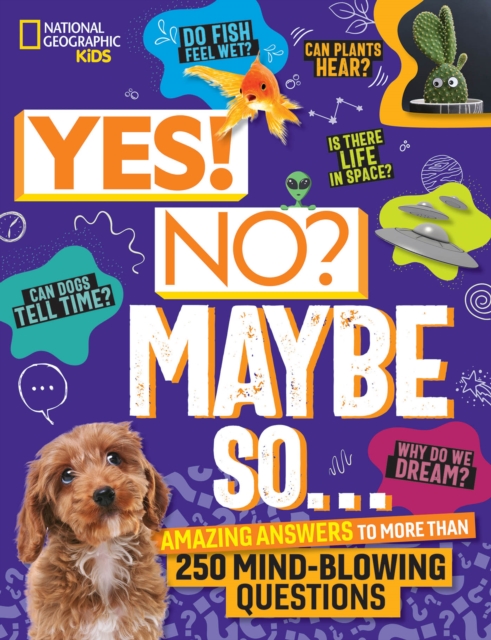 Book cover of Yes! No? Maybe So...