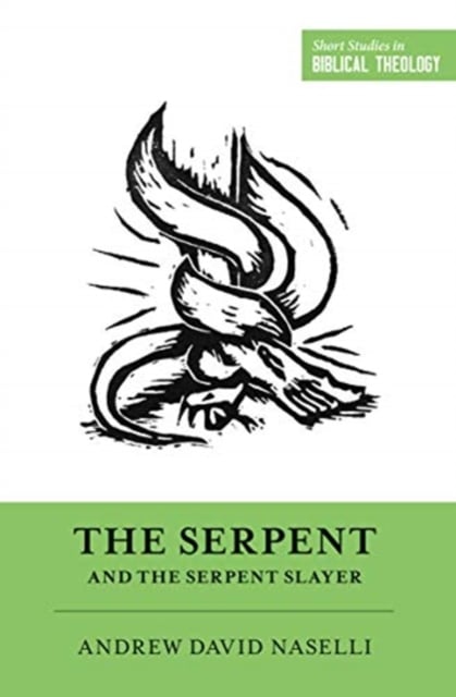 Book cover of The Serpent and the Serpent Slayer