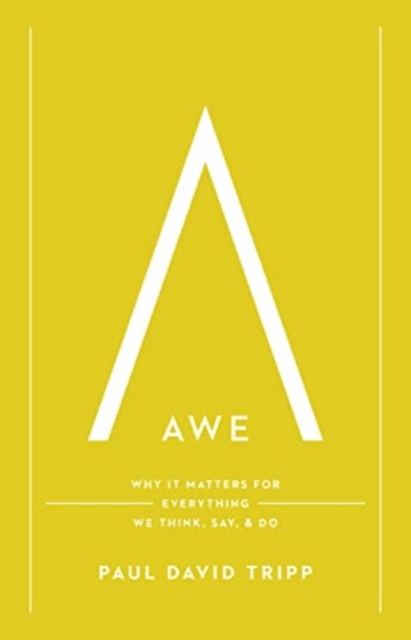 Book cover of Awe