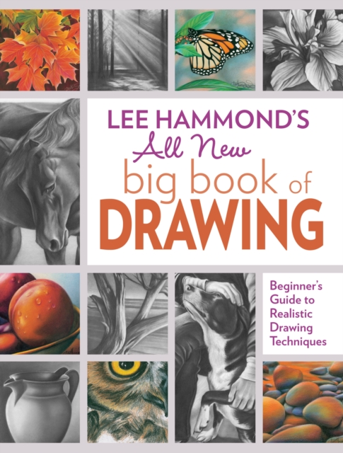 Book cover of Lee Hammond's All New Big Book of Drawing