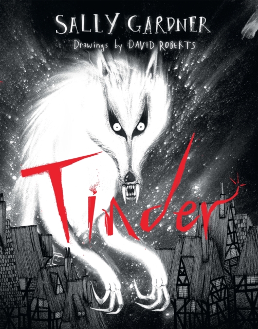 Book cover of Tinder
