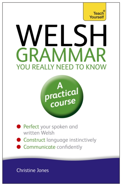 Book cover of Welsh Grammar You Really Need to Know: Teach Yourself